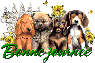 Gif de Chiots