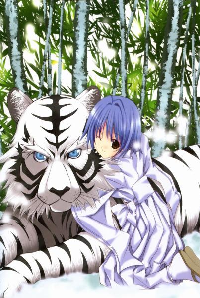 Jeune fille et son beau tigre blanc