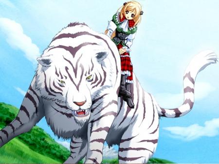 Magnifique ce tigre blanc