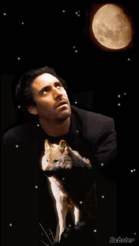 Wolf