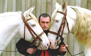 Chevaux albinos ils sont trop beaux