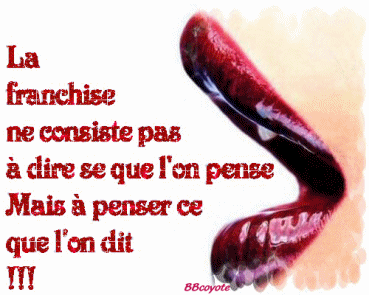La franchise c'est koi?