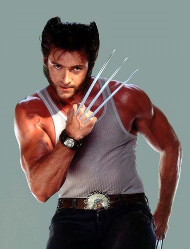 Wolverine