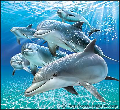 Dauphins
