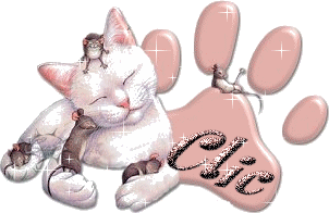 Chat et souris