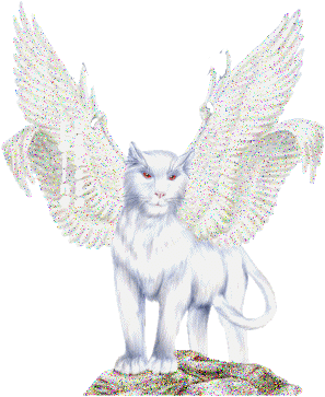 Chat pégase